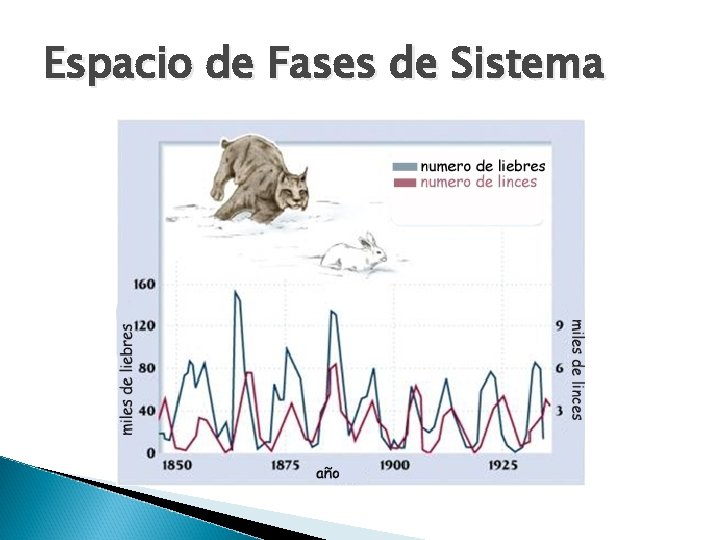 Espacio de Fases de Sistema 