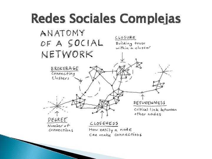 Redes Sociales Complejas 