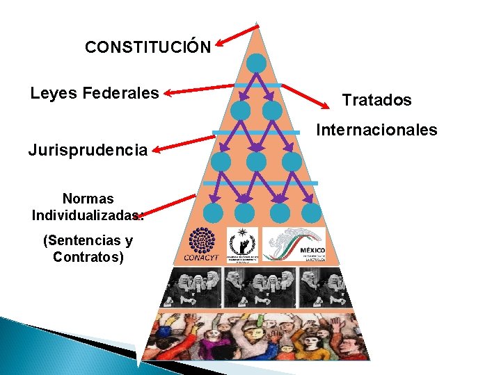 CONSTITUCIÓN Leyes Federales Tratados Internacionales Jurisprudencia Normas Individualizadas: (Sentencias y Contratos) 