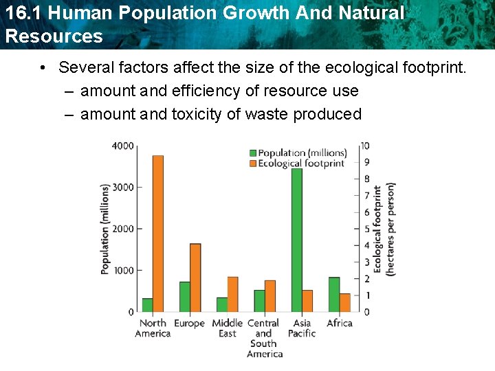 16. 1 Human Population Growth And Natural Resources • Several factors affect the size 16. 1 Human Population Growth And Natural Resources • Several factors affect the size