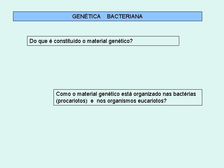 GENÉTICA BACTERIANA Do que é constituído o material genético? Como o material genético está