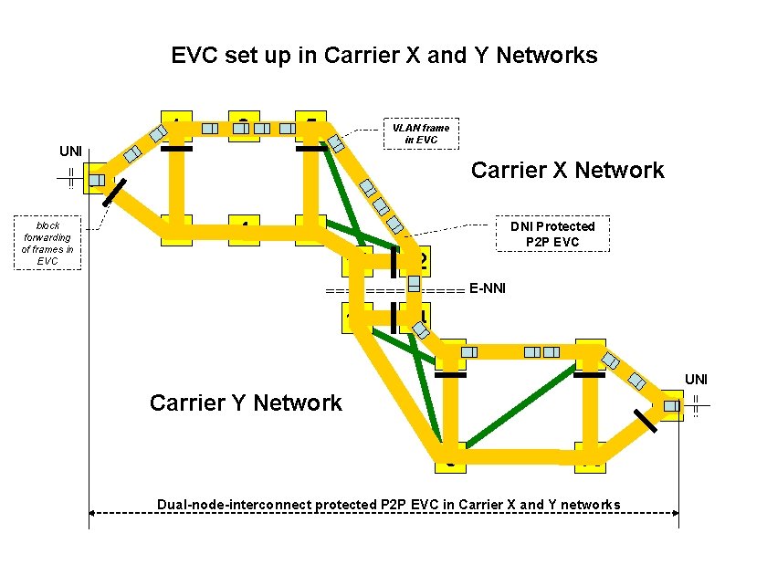 EVC set up in Carrier X and Y Networks 1 3 5 VLAN frame