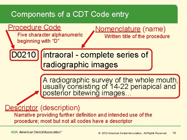 Components of a CDT Code entry Procedure Code Five character alphanumeric beginning with “D”