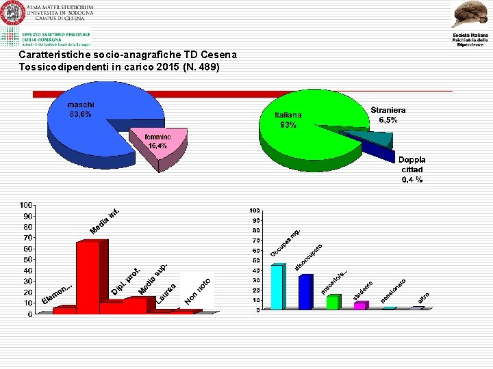 Caratteristiche socio-anagrafiche TD Cesena Tossicodipendenti in carico 2015 (N. 489) 