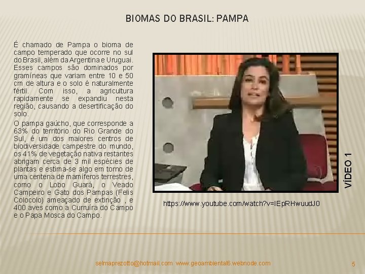 É chamado de Pampa o bioma de campo temperado que ocorre no sul do É chamado de Pampa o bioma de campo temperado que ocorre no sul do