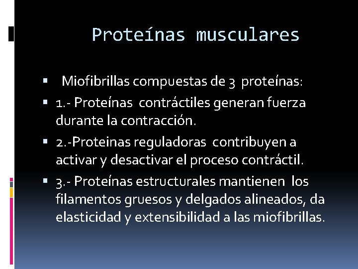 Proteínas musculares Miofibrillas compuestas de 3 proteínas: 1. - Proteínas contráctiles generan fuerza durante