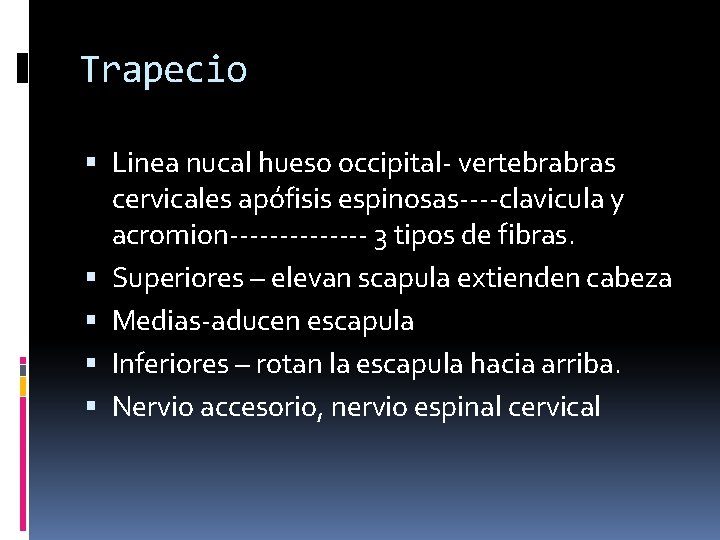 Trapecio Linea nucal hueso occipital- vertebrabras cervicales apófisis espinosas----clavicula y acromion------- 3 tipos de