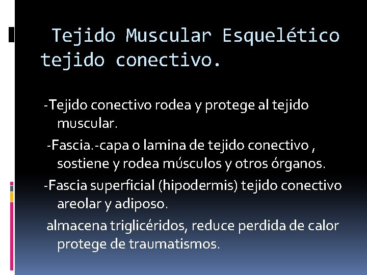 Tejido Muscular Esquelético tejido conectivo. -Tejido conectivo rodea y protege al tejido muscular. -Fascia.