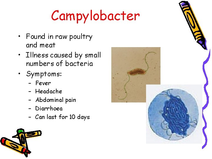 Campylobacter • Found in raw poultry and meat • Illness caused by small numbers
