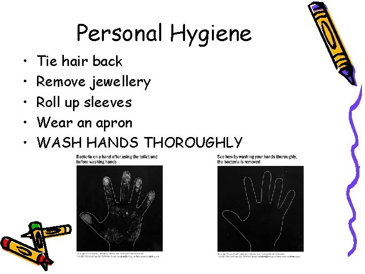 Personal Hygiene • • • Tie hair back Remove jewellery Roll up sleeves Wear