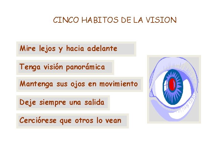 CINCO HABITOS DE LA VISION Mire lejos y hacia adelante Tenga visión panorámica Mantenga