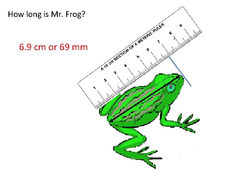 How long is Mr. Frog? 6. 9 cm or 69 mm 