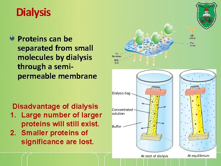 Dialysis Proteins can be separated from small molecules by dialysis through a semipermeable membrane