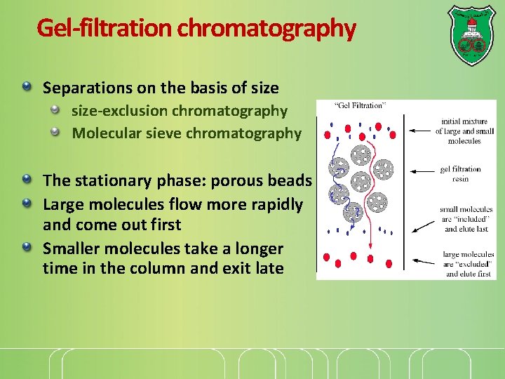 Gel-filtration chromatography Separations on the basis of size-exclusion chromatography Molecular sieve chromatography The stationary Gel-filtration chromatography Separations on the basis of size-exclusion chromatography Molecular sieve chromatography The stationary