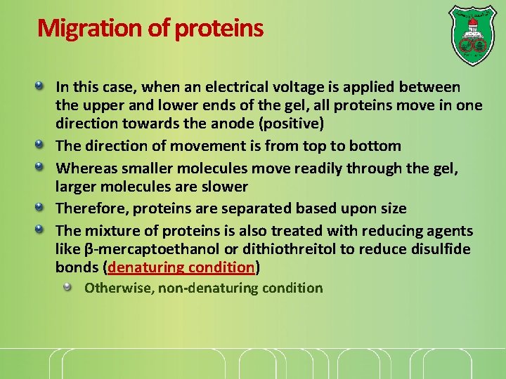 Migration of proteins In this case, when an electrical voltage is applied between the Migration of proteins In this case, when an electrical voltage is applied between the