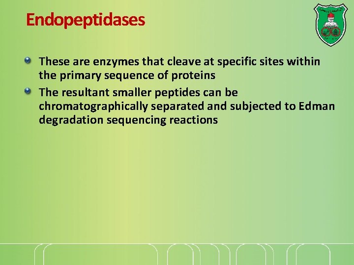 Endopeptidases These are enzymes that cleave at specific sites within the primary sequence of