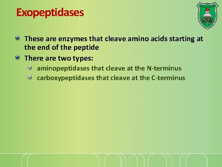 Exopeptidases These are enzymes that cleave amino acids starting at the end of the