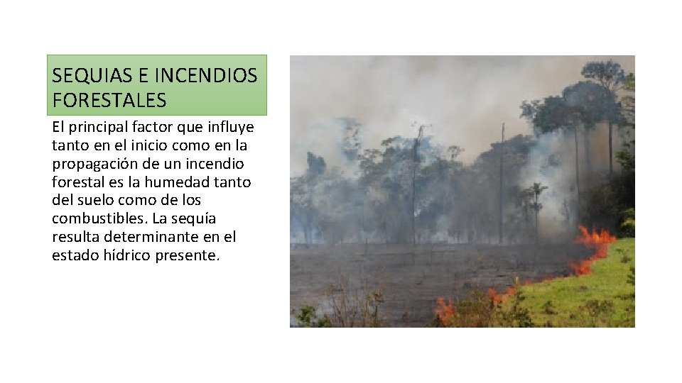 SEQUIAS E INCENDIOS FORESTALES El principal factor que influye tanto en el inicio como