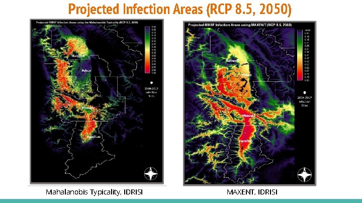 Projected Infection Areas (RCP 8. 5, 2050) Mahalanobis Typicality, IDRISI MAXENT, IDRISI 