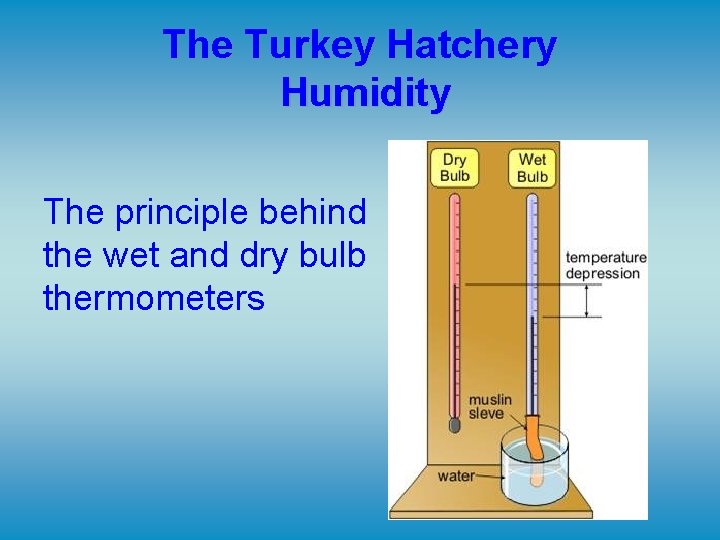 The Turkey Hatchery Humidity The principle behind the wet and dry bulb thermometers The Turkey Hatchery Humidity The principle behind the wet and dry bulb thermometers