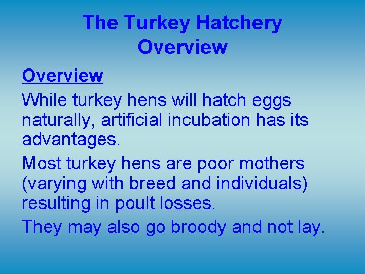 The Turkey Hatchery Overview While turkey hens will hatch eggs naturally, artificial incubation has The Turkey Hatchery Overview While turkey hens will hatch eggs naturally, artificial incubation has