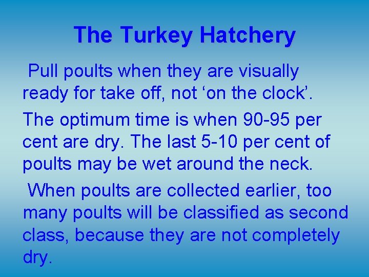 The Turkey Hatchery Pull poults when they are visually ready for take off, not The Turkey Hatchery Pull poults when they are visually ready for take off, not
