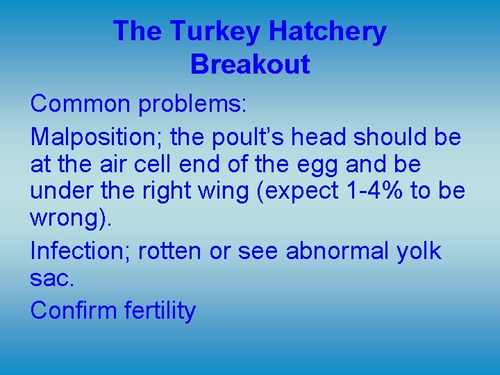 The Turkey Hatchery Breakout Common problems: Malposition; the poult’s head should be at the The Turkey Hatchery Breakout Common problems: Malposition; the poult’s head should be at the