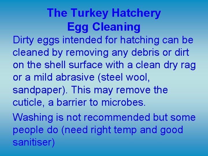 The Turkey Hatchery Egg Cleaning Dirty eggs intended for hatching can be cleaned by