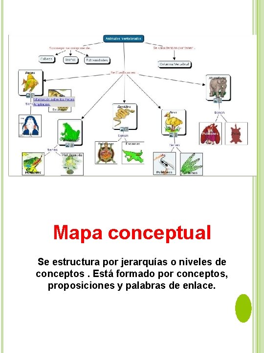 Mapa conceptual Se estructura por jerarquías o niveles de conceptos. Está formado por conceptos,