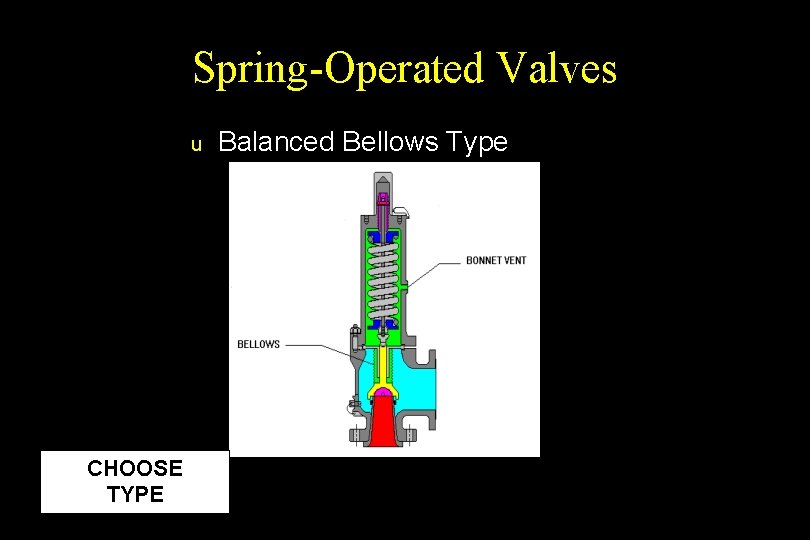 Spring-Operated Valves u CHOOSE TYPE Balanced Bellows Type 