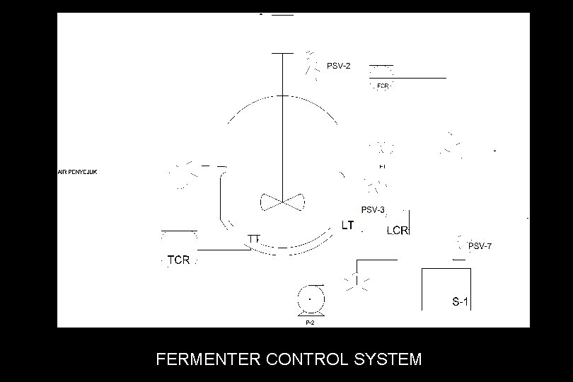 FERMENTER CONTROL SYSTEM 