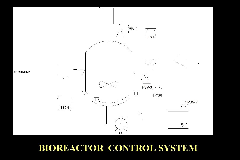 BIOREACTOR CONTROL SYSTEM 