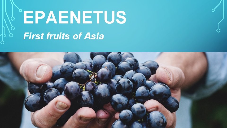 EPAENETUS First fruits of Asia 