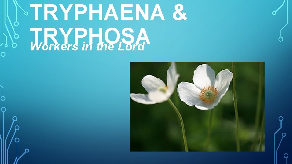 TRYPHAENA & TRYPHOSA Workers in the Lord 