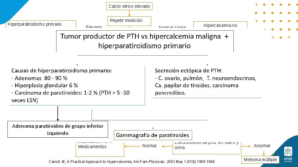 Calcio sérico elevado Hiperparatirodismo primario Repetir medición Elevada Normal o baja PTH intacta Hipercalcemia