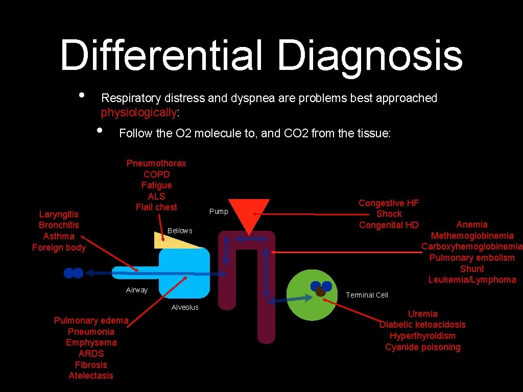 Differential Diagnosis • Respiratory distress and dyspnea are problems best approached physiologically: • Laryngitis