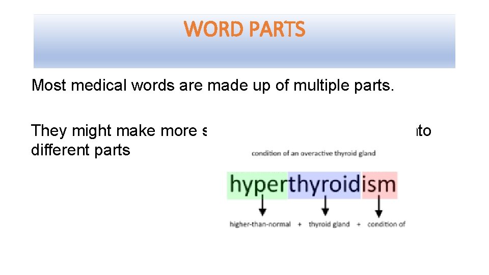 WORD PARTS Most medical words are made up of multiple parts. They might make