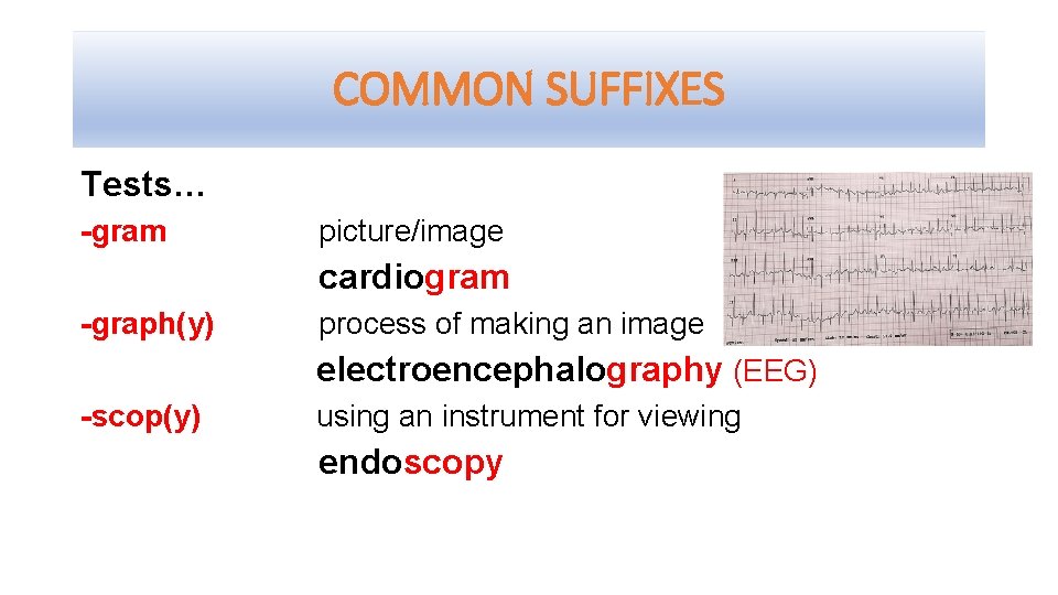 COMMON SUFFIXES Tests… -gram picture/image cardiogram -graph(y) -scop(y) process of making an image electroencephalography