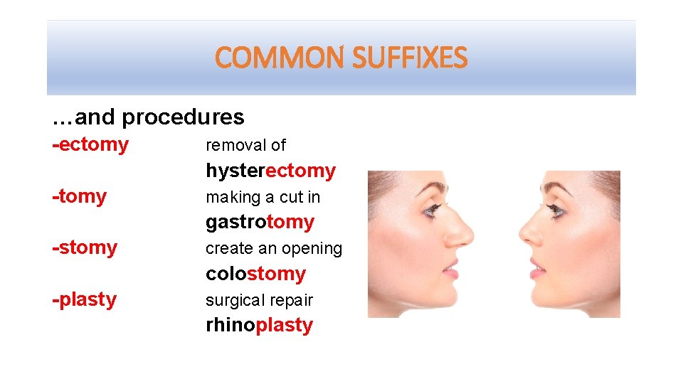 COMMON SUFFIXES …and procedures -ectomy removal of hysterectomy -tomy making a cut in gastrotomy