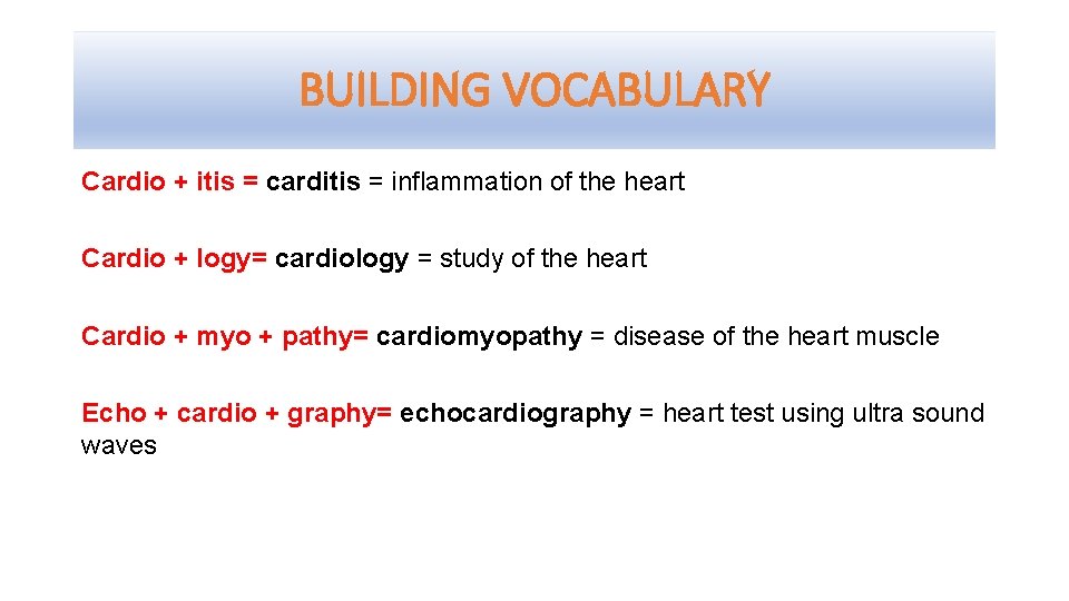 BUILDING VOCABULARY Cardio + itis = carditis = inflammation of the heart Cardio +