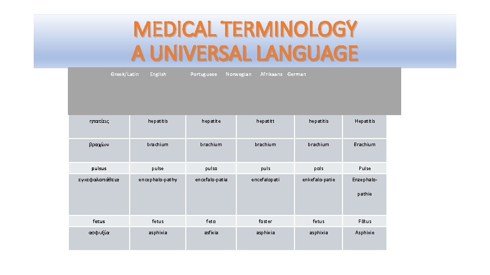 MEDICAL TERMINOLOGY A UNIVERSAL LANGUAGE Greek/Latin English Portuguese Norwegian Afrikaans German ηπατίτις hepatitis hepatite