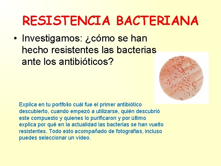 RESISTENCIA BACTERIANA • Investigamos: ¿cómo se han hecho resistentes las bacterias ante los antibióticos?
