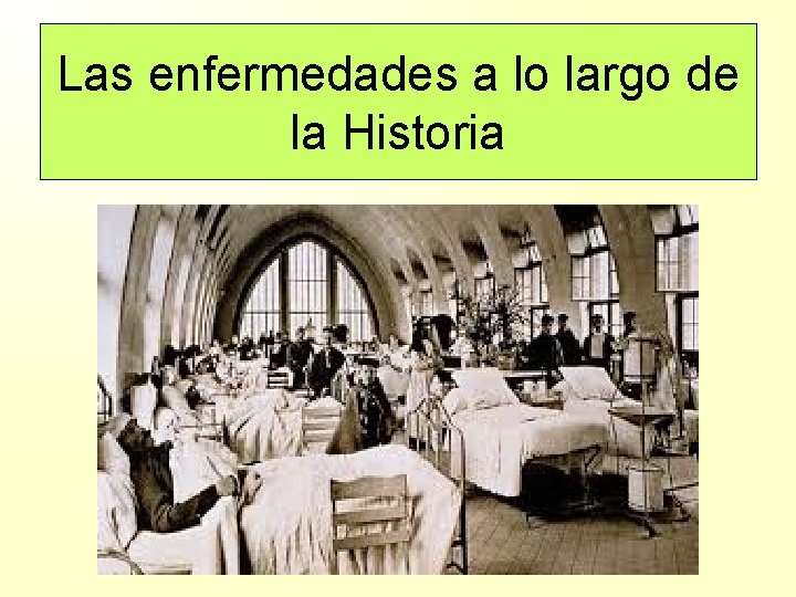 Las enfermedades a lo largo de la Historia 