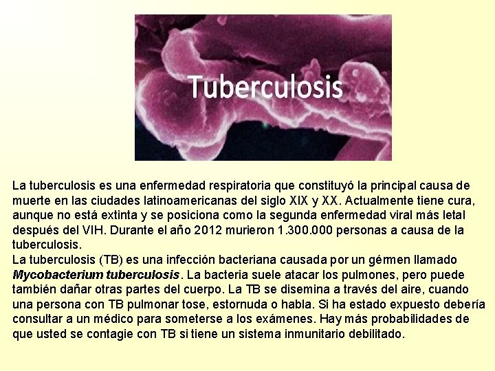 La tuberculosis es una enfermedad respiratoria que constituyó la principal causa de muerte en
