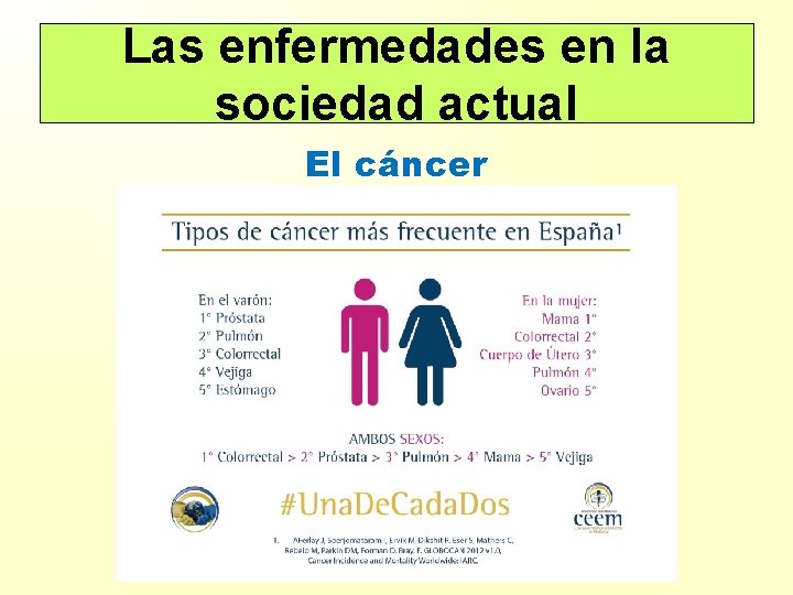 Las enfermedades en la sociedad actual El cáncer 