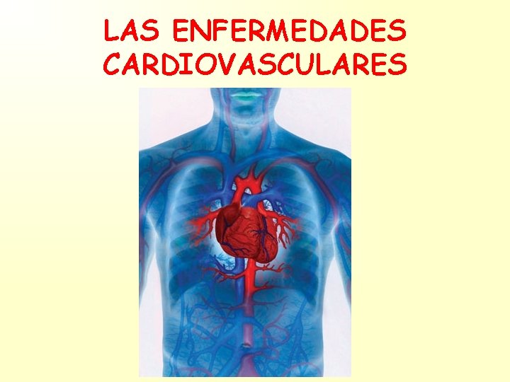 LAS ENFERMEDADES CARDIOVASCULARES 