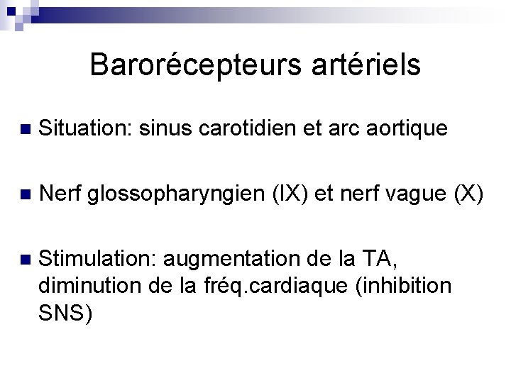 Barorécepteurs artériels n Situation: sinus carotidien et arc aortique n Nerf glossopharyngien (IX) et