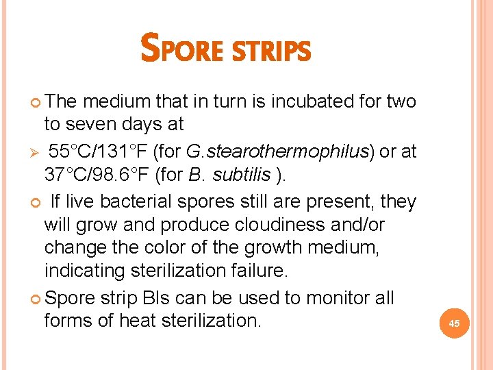 SPORE STRIPS The medium that in turn is incubated for two to seven days