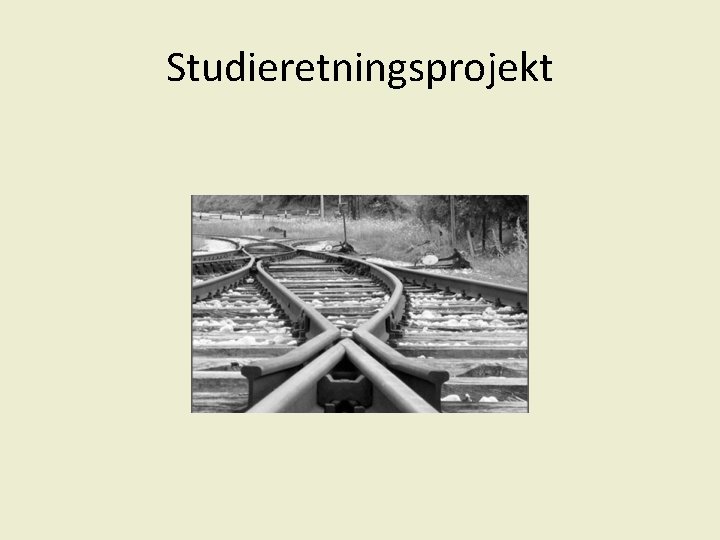 Studieretningsprojekt 