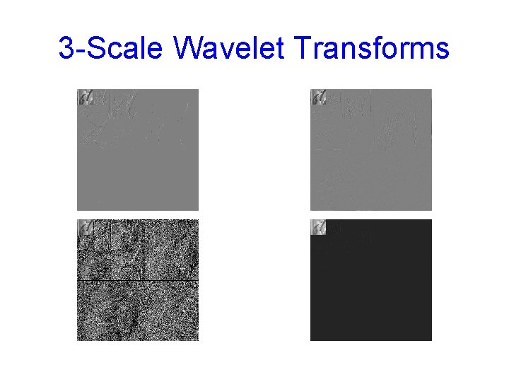 3 -Scale Wavelet Transforms 